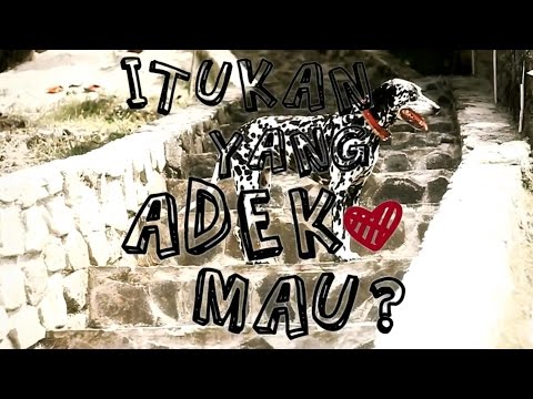 ITUKAN YANG ADEK MAU?! - Macbee ft. Rizkal Nanggroeside, PutraAbe, RamaDflow, Ndy,and Zacky Randa