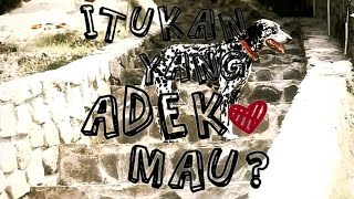 ITUKAN YANG ADEK MAU?! - Macbee ft. Rizkal Nanggroeside, PutraAbe, RamaDflow, Ndy,and Zacky Randa