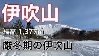 伊吹山【日本百名山】に行ってきた！上野口コースのピストン　厳冬期の雪山を堪能できた！