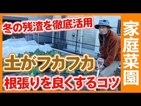 冬場の土壌浸食を防ぐにはどうすればよいでしょうか？今すぐ庭で取り入れるべき10のアクション！  庭園