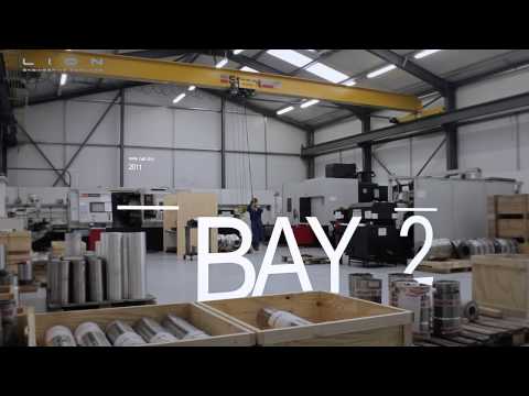 Lion Engineering Services - Introduction to Lion