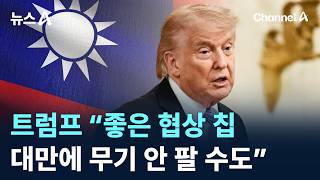트럼프 “좋은 협상 칩…대만에 무기 안 팔 수도”