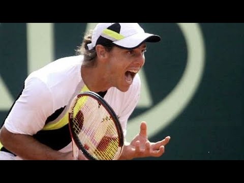 10 Crazy Things Gaudio the Cat Does