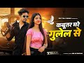 Kabotar Mare Gulel Se Yaar Tera Khalnayak Rohit Sardhana Harendra Nagar New Badmashi Song 2024