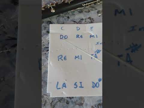 1 Chaveamento Clarones Alto e Baixo 1197375-0151