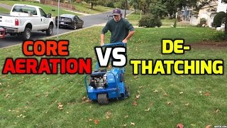 Yard Care Tips- Aeration &amp; DeThaching for an Awesome DIY Lawn  White Bear lake Mn