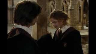 Harry and Hermione - How Did We Get From Saying I Love You