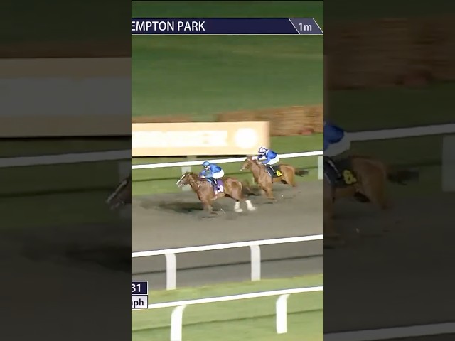 Thumbnail for Post ID: w1ZxmIrQDTU