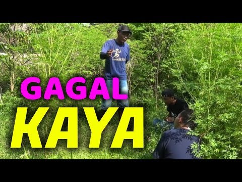 gagal-kaya