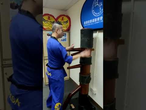 HKSCSA： 香港詠春《木人樁隨意練習》留影