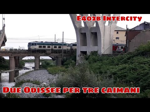 Due Odissee per tre caimani