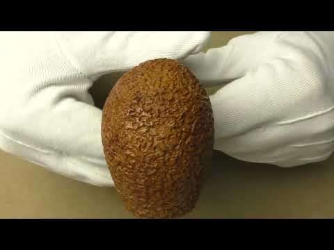 Ser Jacopo Delecta Spongia R2 B - pipe 1609