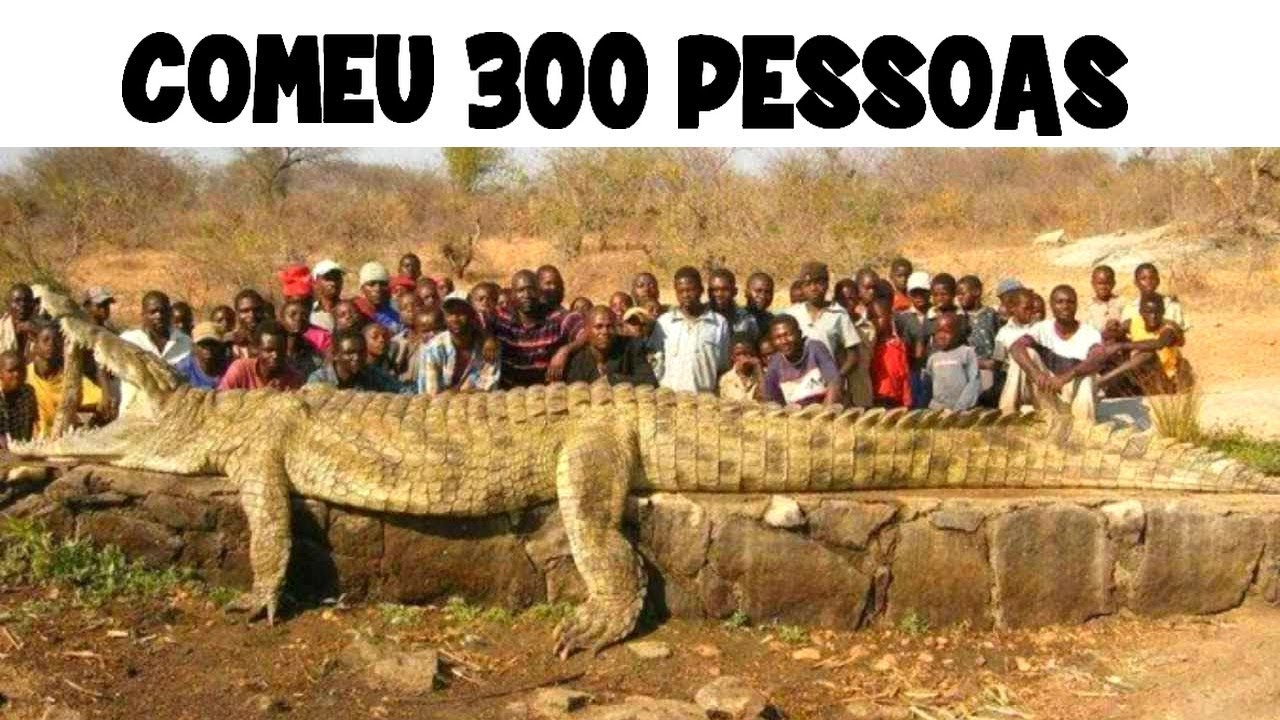 10 ANIMAIS MAIS TEMIDOS DA HISTÓRIA
