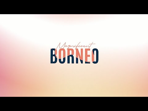 Indonesia Fashion Week Virtual 2020 - Magnificent Borneo