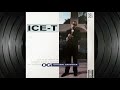 Ice-T - Street Killer (Instrumental)