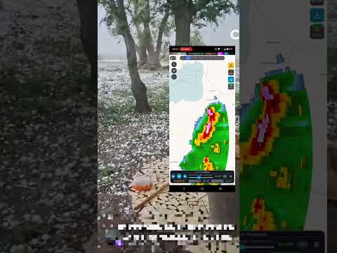 Una fuerte tormenta con caída de granizo grande, en San Francisco, Córdoba #viral