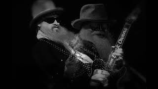 ZZ TOP - Beer Drinkers &amp; Hell Raisers  (lyrics on screen)