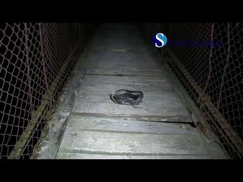 Operatiuni cautare femeie aruncata in Somes la Salatiu