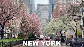 New York City Walking Tour 2024 - Rainy Day in Midtown Manhattan 4K NYC Rain Walk Spring 2024