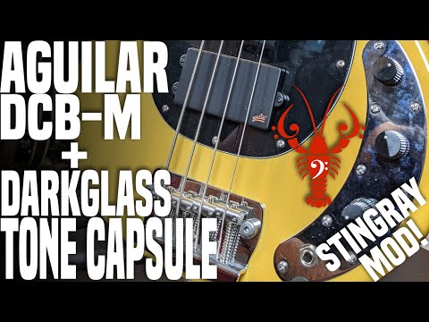 Ray24 Stingray Mod Project! Aguilar DCB-M and Darkglass Tone Capsule - LowEndLobster Fresh Look