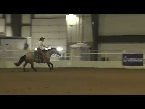 220529  Novice Horse Open Rick Weaver on Tr In Your Face