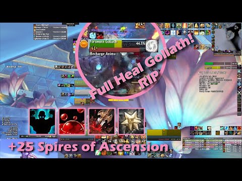 +25 Spires of Ascension Protection Paladin PoV - Sanguine Grievous Fortified Encrypted