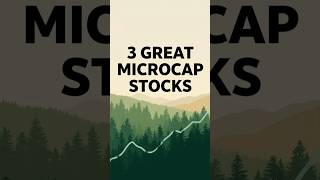 3 GREAT MICROCAP growth stocks!