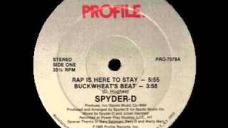 Spyder-D - Buckwheat's Beat (Instrumental)