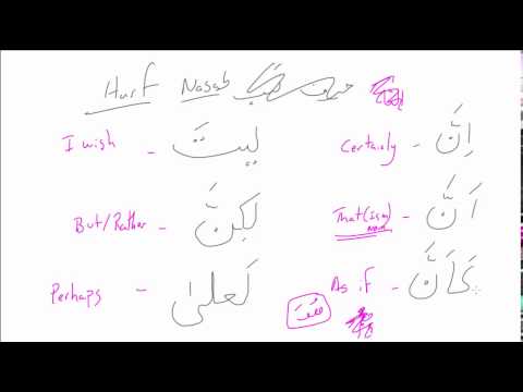 Arabic Lesson #13 | Harf Nasab