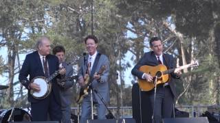 I'm Dog Gone Hot Rize - 100415 HSB15