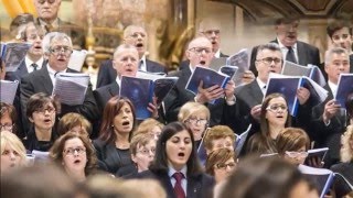 Astro del ciel (F.Gruber)