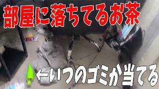 部屋に落ちてるお茶を飲んでいつのゴミか当てる利きペットボトル(ゴミ) - マインクラフト【KUN】