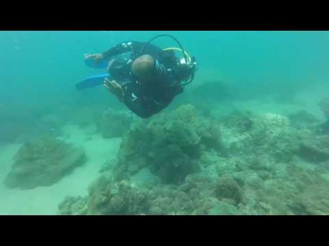 Beautiful coral at Gorkana Point Trincomalee Sri Lanka