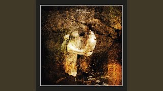 Music video thumbnail preview for Mortar Grind by Pain of Salvation
