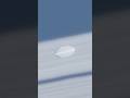 Looks Like a Peanut ─ Saturn’s Moon Daphnis (Diameter • 8km) #Daphnis #Saturn #Rings #Moon #Space