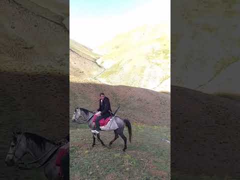 Dengbêj ferîdê agırîyê (bir annenin feryadı)