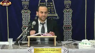 מה הזמן הראוי ביותר לעריכת סעודה שלישית? ¤ הרב אליהו טהרני ¤ ד' טבת תשפ"ו (24.12.2025) (מוסדות תורת דוד) - התמונה מוצגת ישירות מתוך אתר האינטרנט יוטיוב. זכויות היוצרים בתמונה שייכות ליוצרה. קישור קרדיט למקור התוכן נמצא בתוך דף הסרטון