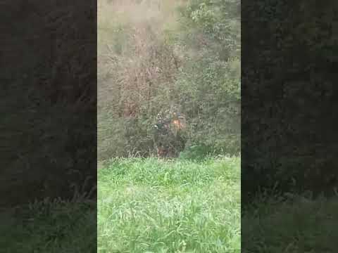 Vídeo surpreendente mostra altura da ribanceira que carro caiu em General Carneiro #noticias