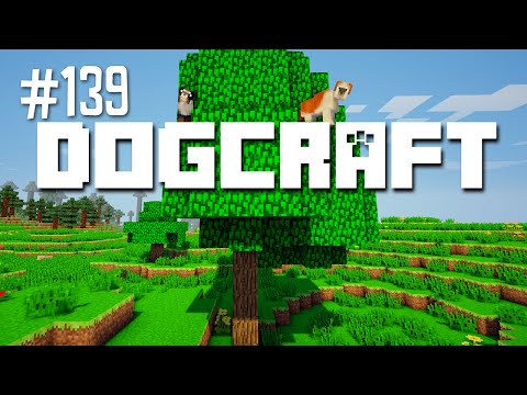 Up a Tree | Dogcraft (Ep.139)