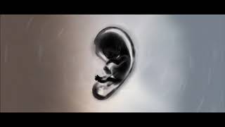 Yas Feat. Moer - Bande Naaf Ta Khatte Saaf (MUSICIRANO)