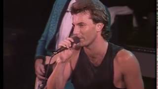 Australian Crawl - Downhearted (live)