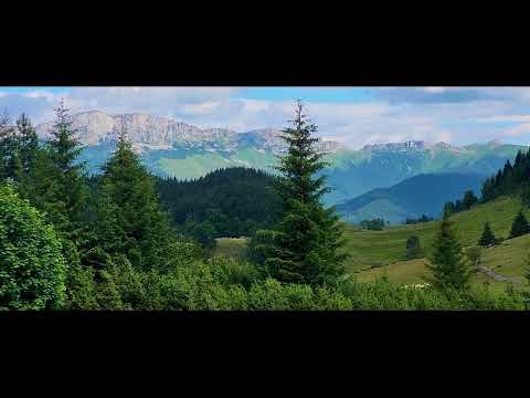 Discover The Stunning Cheile Grădiștei Resort In Fundata, Romania!