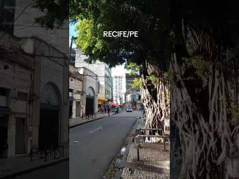 Rua do Hospício no Recife/PE. 🎥 Ademar Nascimento #Recife #pernambuco