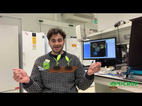MiCRop research highlights with Justin Stewart (VU) - mycorrhizal fungi