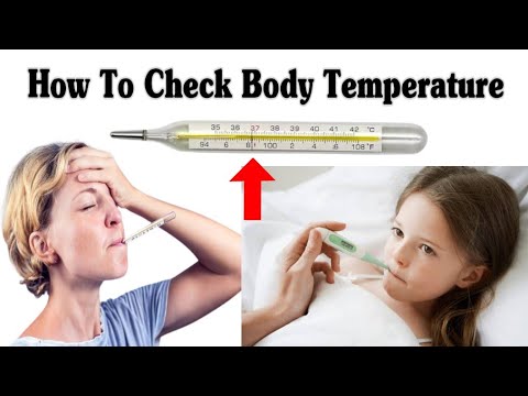 IV Cannula Colour And Size Cannula Types And Uses