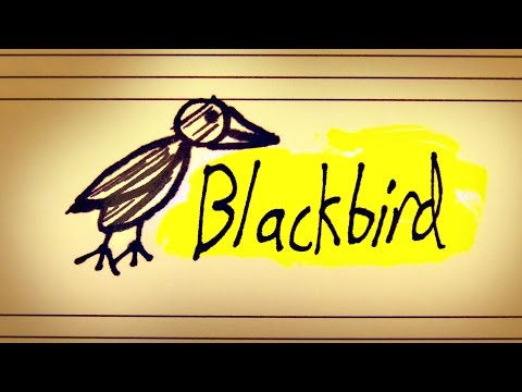 Blackbird Singing In The Dead Of Night Video