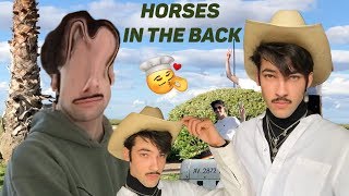 i protect, i attack, I GOT HORSES IN THE BACK