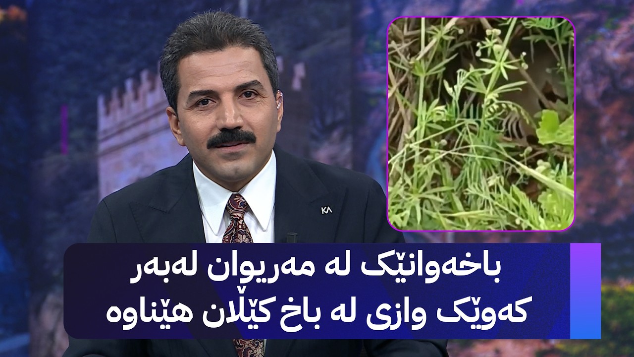 ڤیدیۆ | باخەوانێک لە مەریوان لەبەر کەوێک وازی لە باخ کێڵان هێناوە