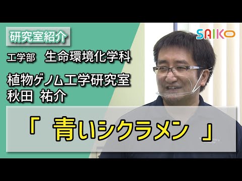 機械工学科 植物ゲノム工学研究室　秋田 祐介（工学部　生命環境化学科）