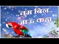 Tum Bin Jau Kaha Hindi Shayari Whatsapp Video